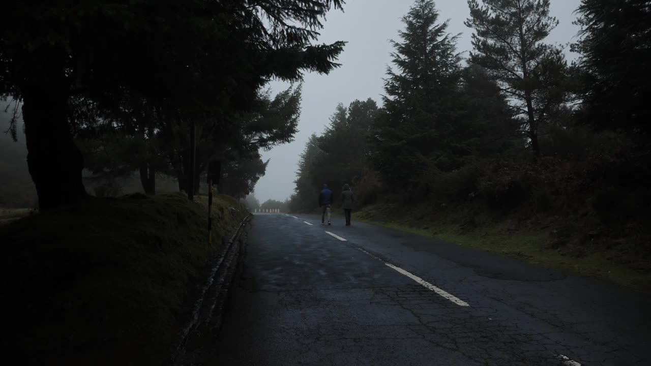 Two people walking down a quiet road